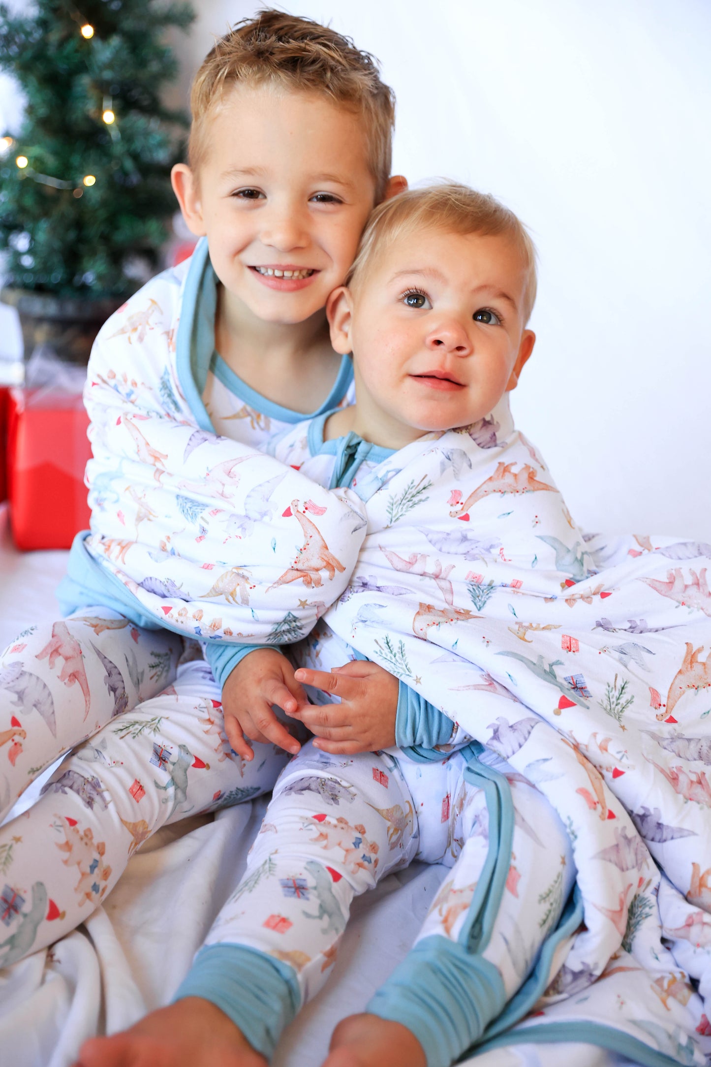 Dino Wonderland Bamboo Blanket 40x60 Quilted