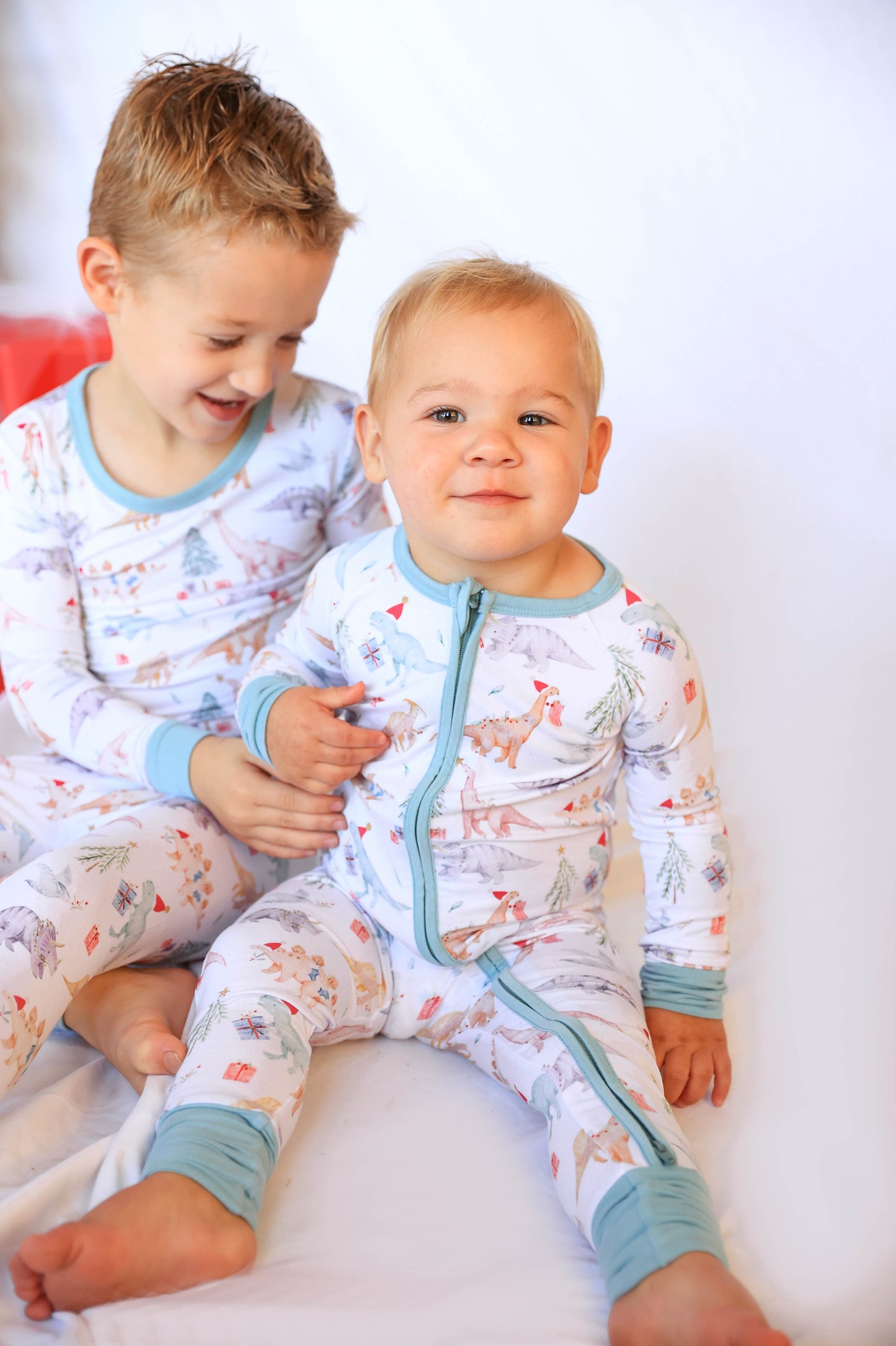 Dino Wonderland Zippy