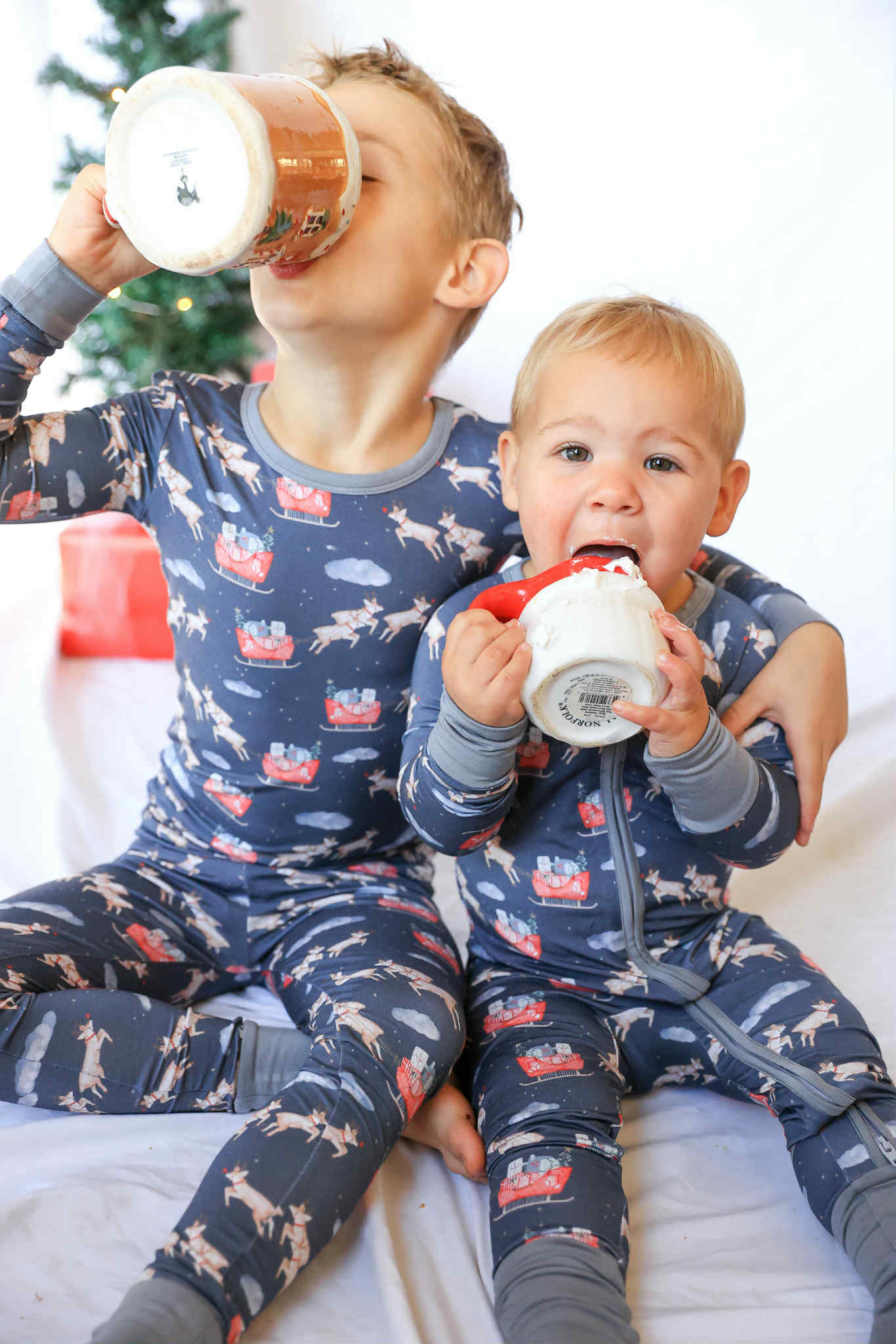 Midnight Magic Zippy