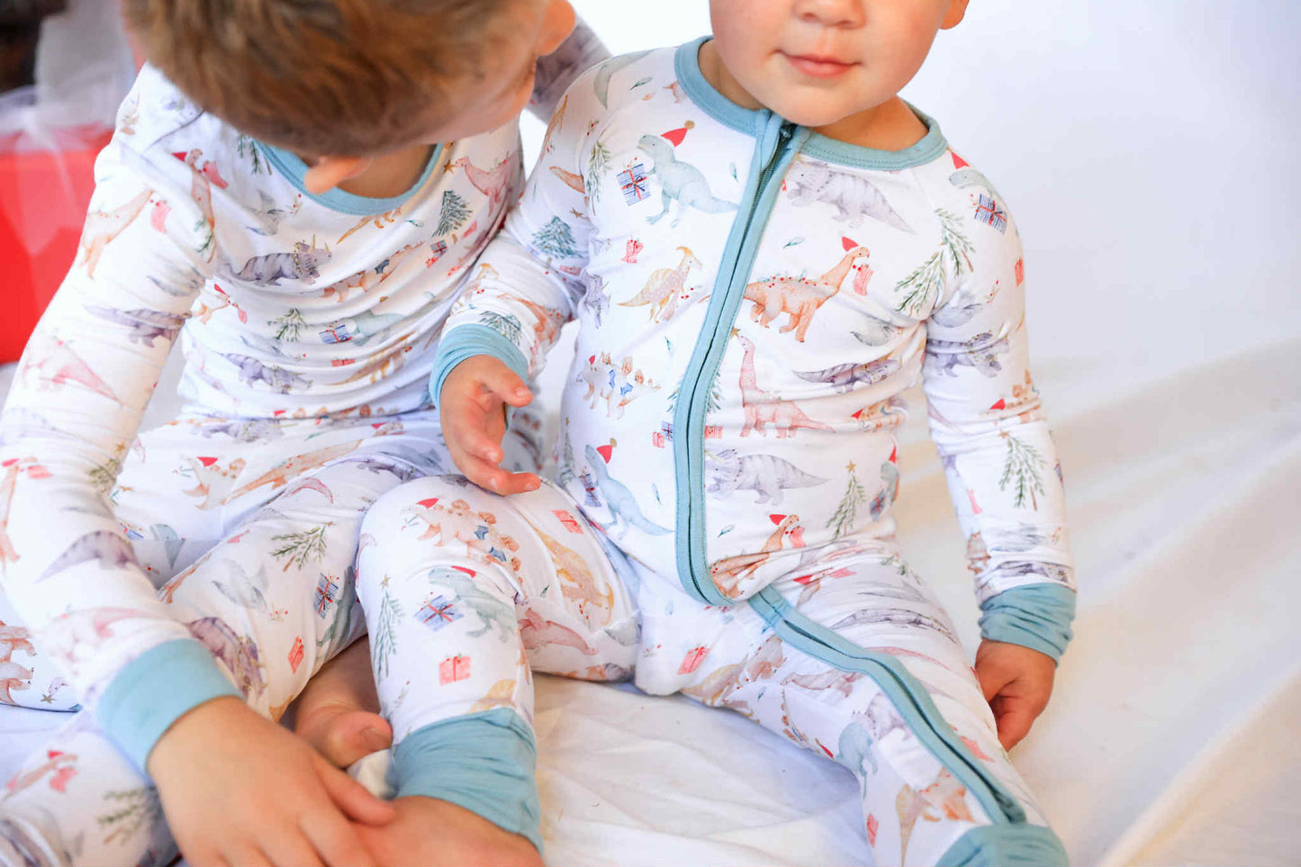 Dino Wonderland Zippy