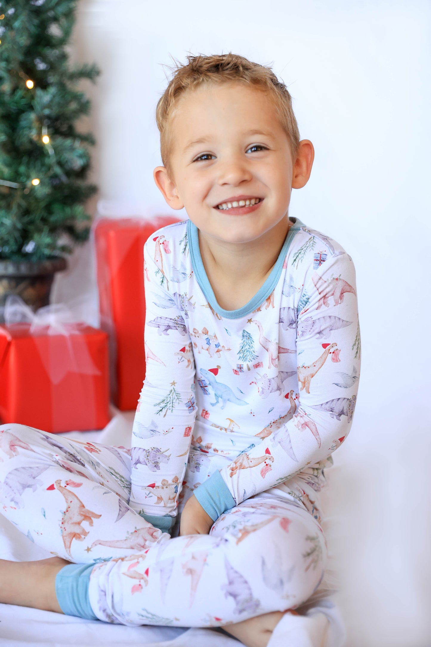 Dino Wonderland Two piece