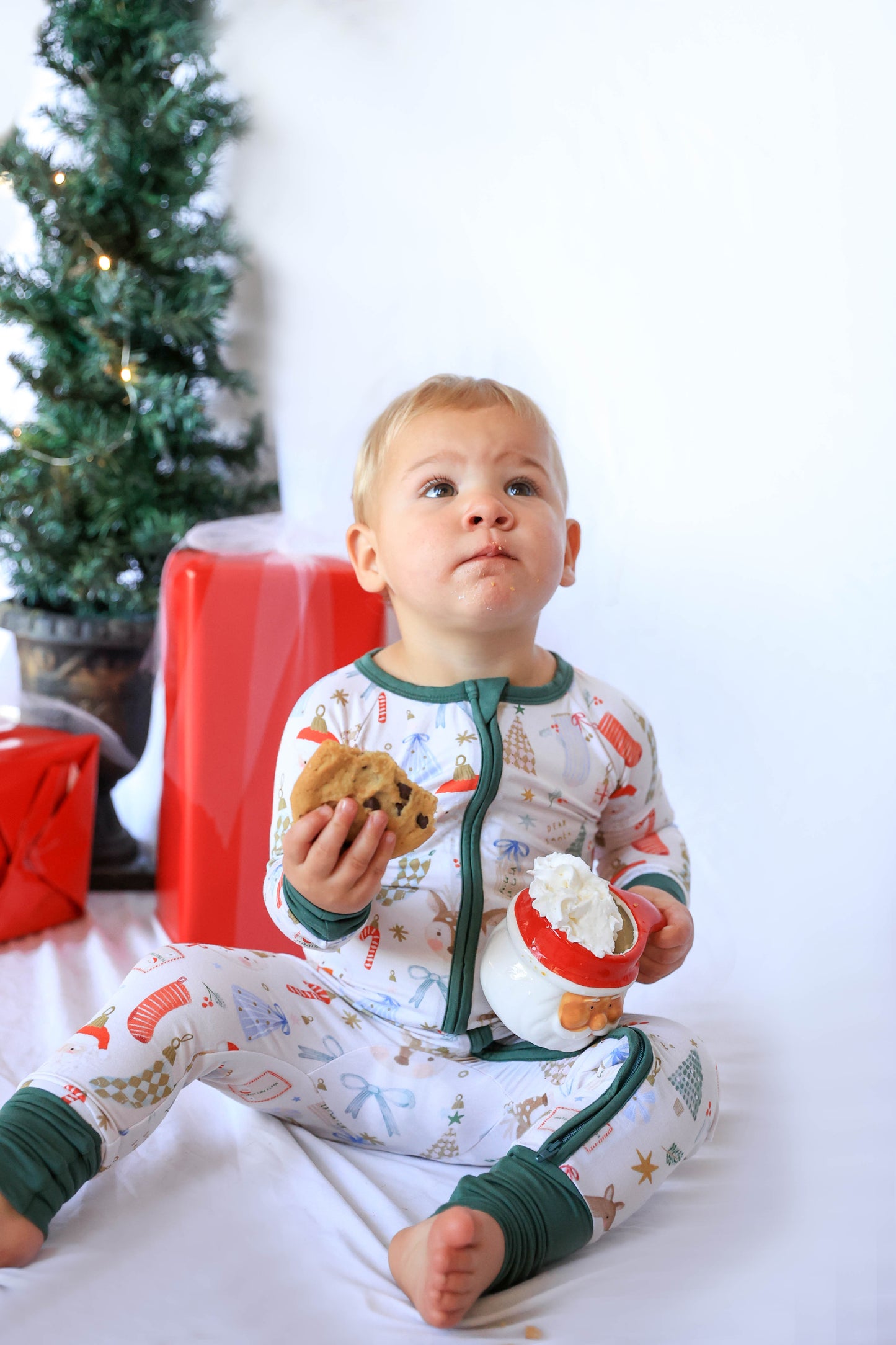 Cozy Christmas Zippy