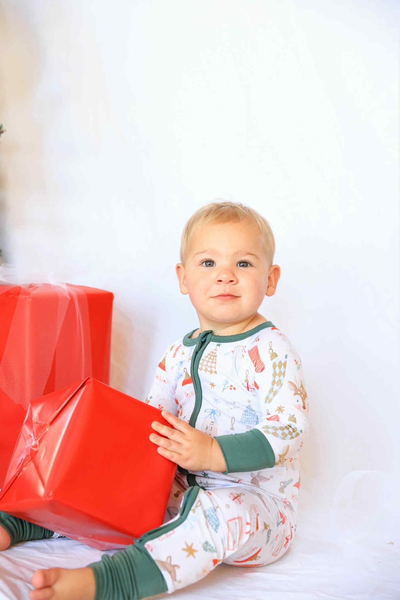 Cozy Christmas Zippy